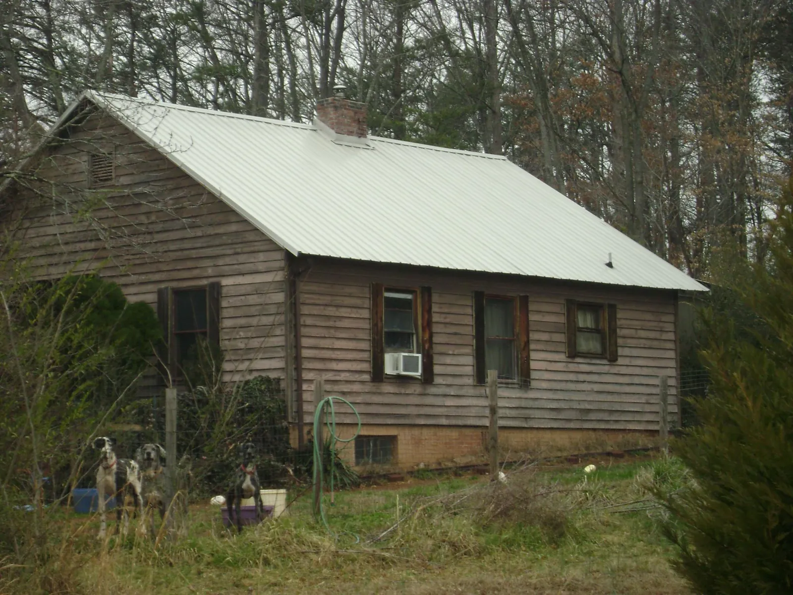 White metal roof on an old wood sided farmhouse, from a Asphalt Shingle Roof Repair job in Cowan